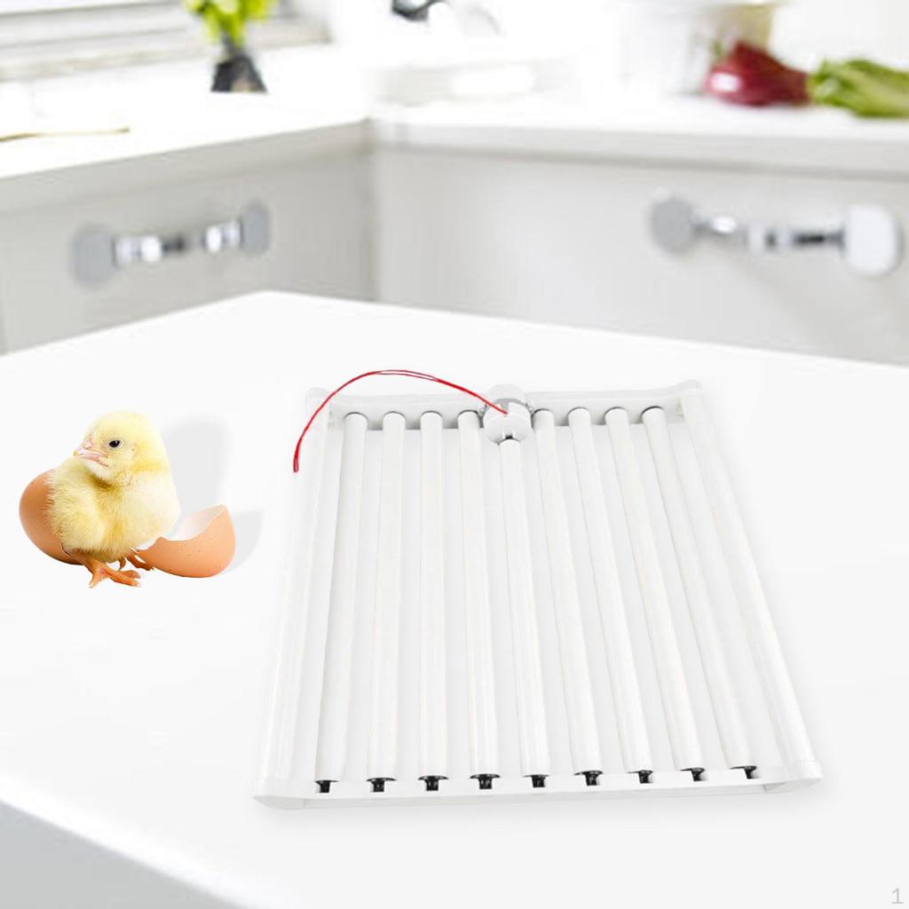 Güvercinler, Tavuklar, Hindiler ve Kazlar İçin 110V Otomatik Yumurta Kuluçka Makinesi.