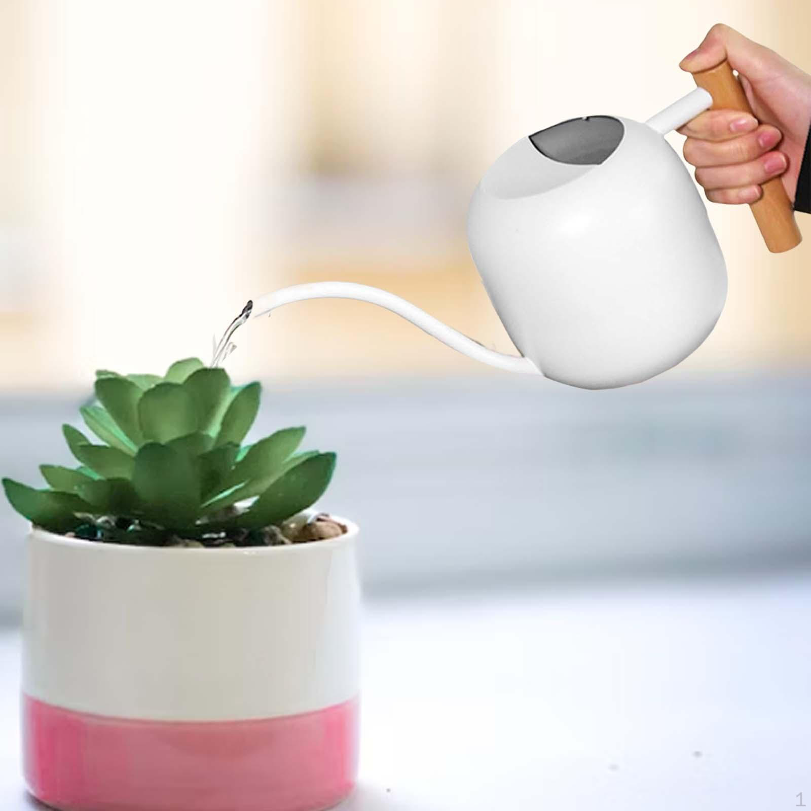 

Stainless Steel Mini Watering Can Long Mouth Wooden Handle for Flower Shower Yard Patio белый