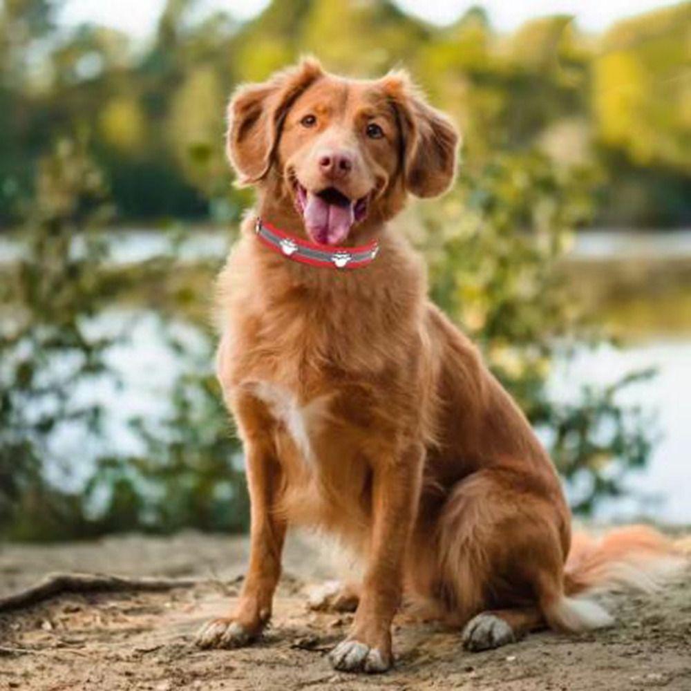 Adjustable Reflective Dog Collar Leather Dog Footprint Collar  Pet Daily Necessities