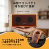 Mini-Gitarre mit Clean Overdrive, tragbar für tägliches Üben, Verstärker, 5W, Effekt, Bluetooth, (Orange)
