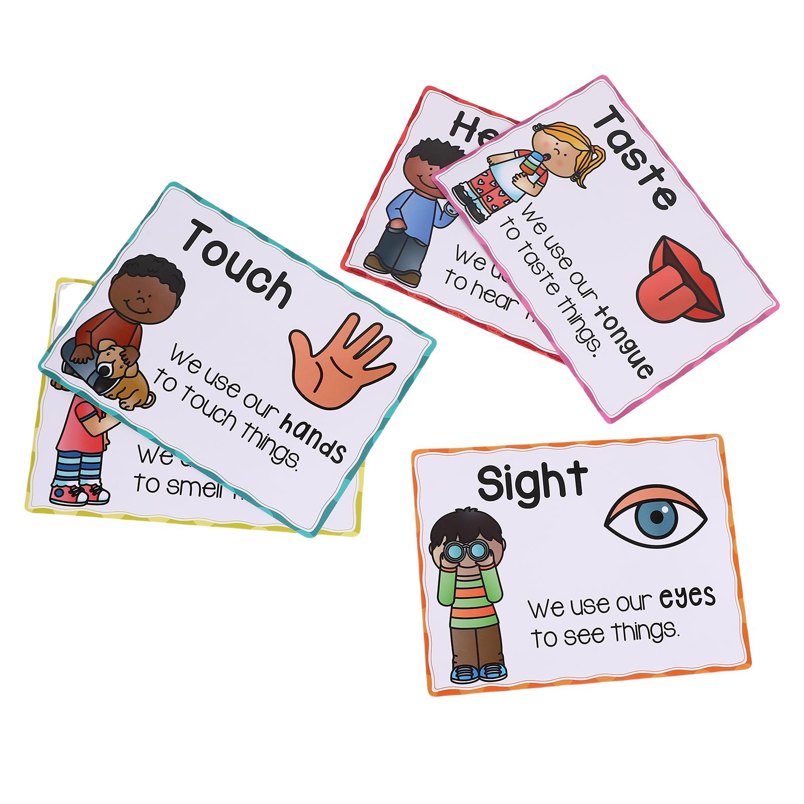 Five Senses Poster Learning Chart Educational Classroom Decor Students Teacher Study Materials
