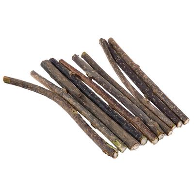 10pcs Pure Natural Catnip Pets Cat Molar Toothpaste Stick Cat Cleaning Tooth