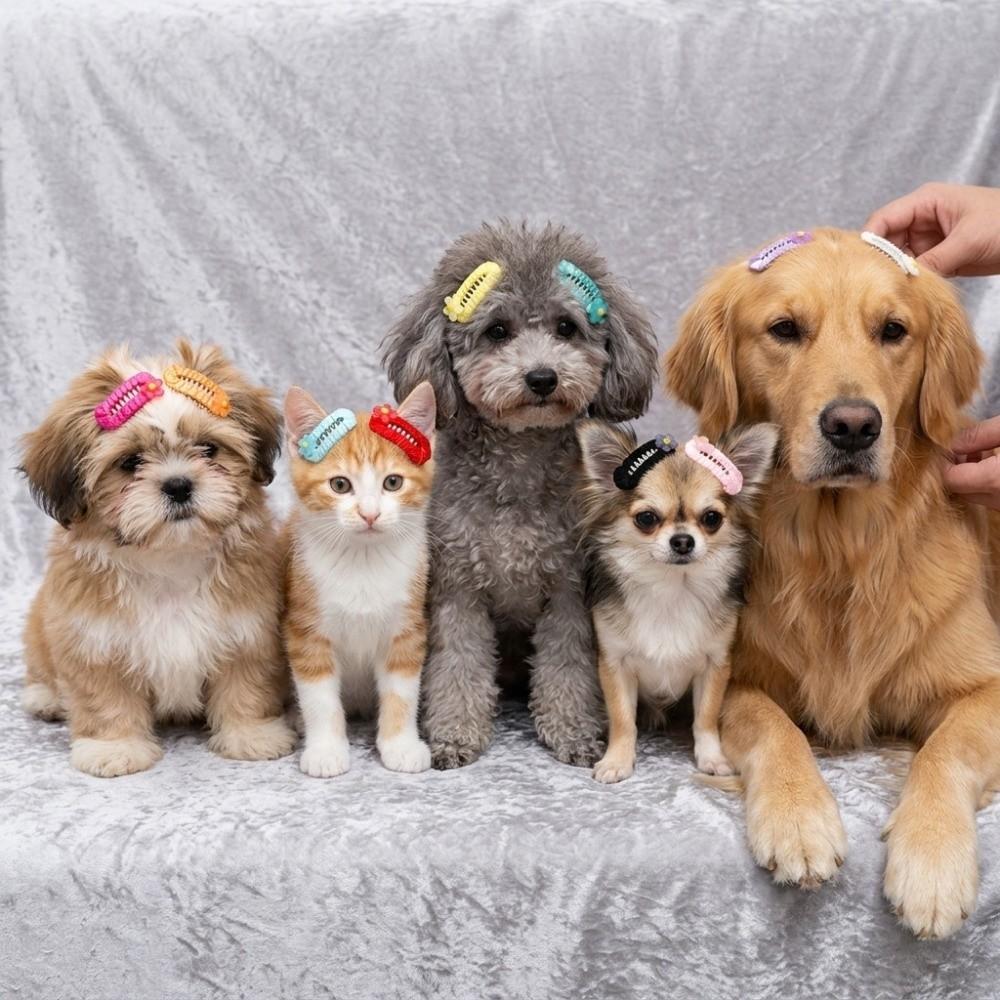 10Pcs Organza Bow Dog Hair Clip Mixed Colors Dog Bow Clip Pet Head Flower Dog Grooming