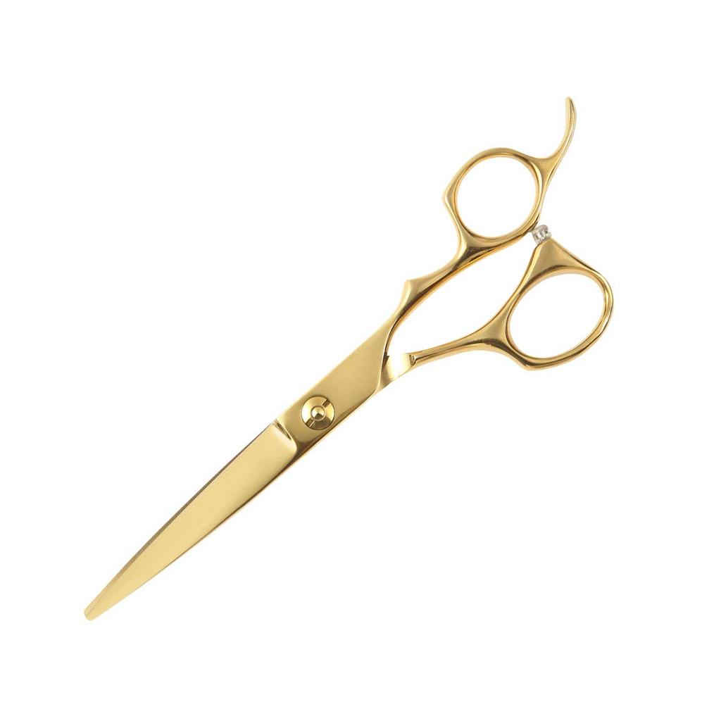 DEEDS GUZ Gold Titanium Scissor Thinning Set by a Japanese Scissors Manufacturer Specializing In Haircuts and Professional [PF] (6.0 Inches) DEEDS,