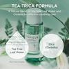 SKIN1004 Tea-Trica Purifying Toner 210ml / Tea Tree + Cica Soothing Lotion
