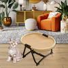 Portable Iron Frame Dog Cot Elevated Pet Bed Foldable Puppy Basket with Storage Bag for Pets Accessories Home Travel