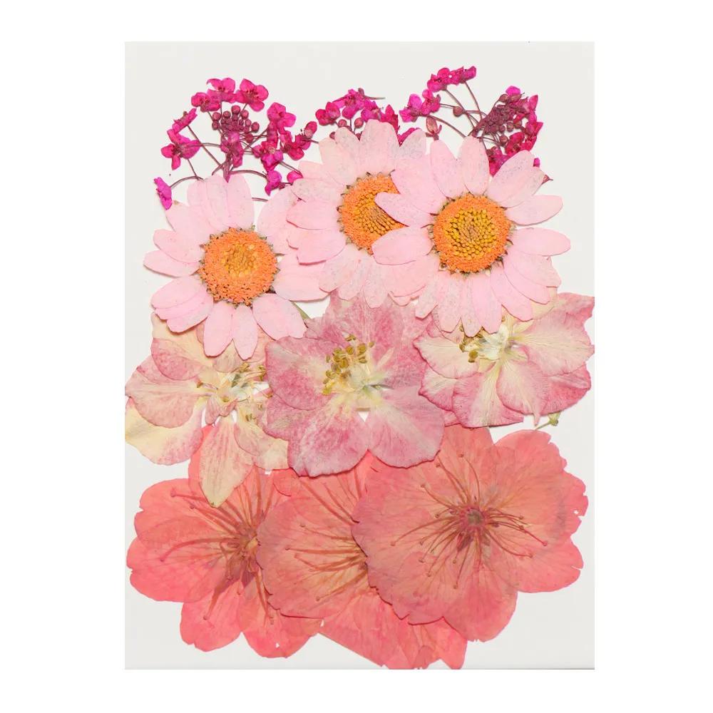 Real Natural Dried Flowers Pressed Flowers Resin Mold Fillings Flower for DIY Candle Resin Crafts Jewelry Nail Art Beauty Decal