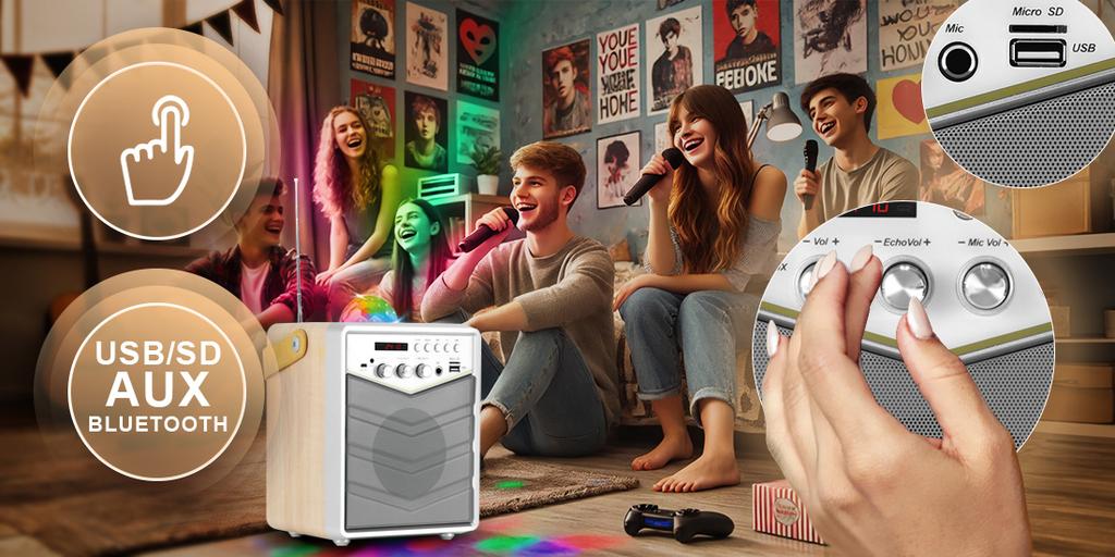MusicMate MM-SK100 Apex Flex Karaoke Set