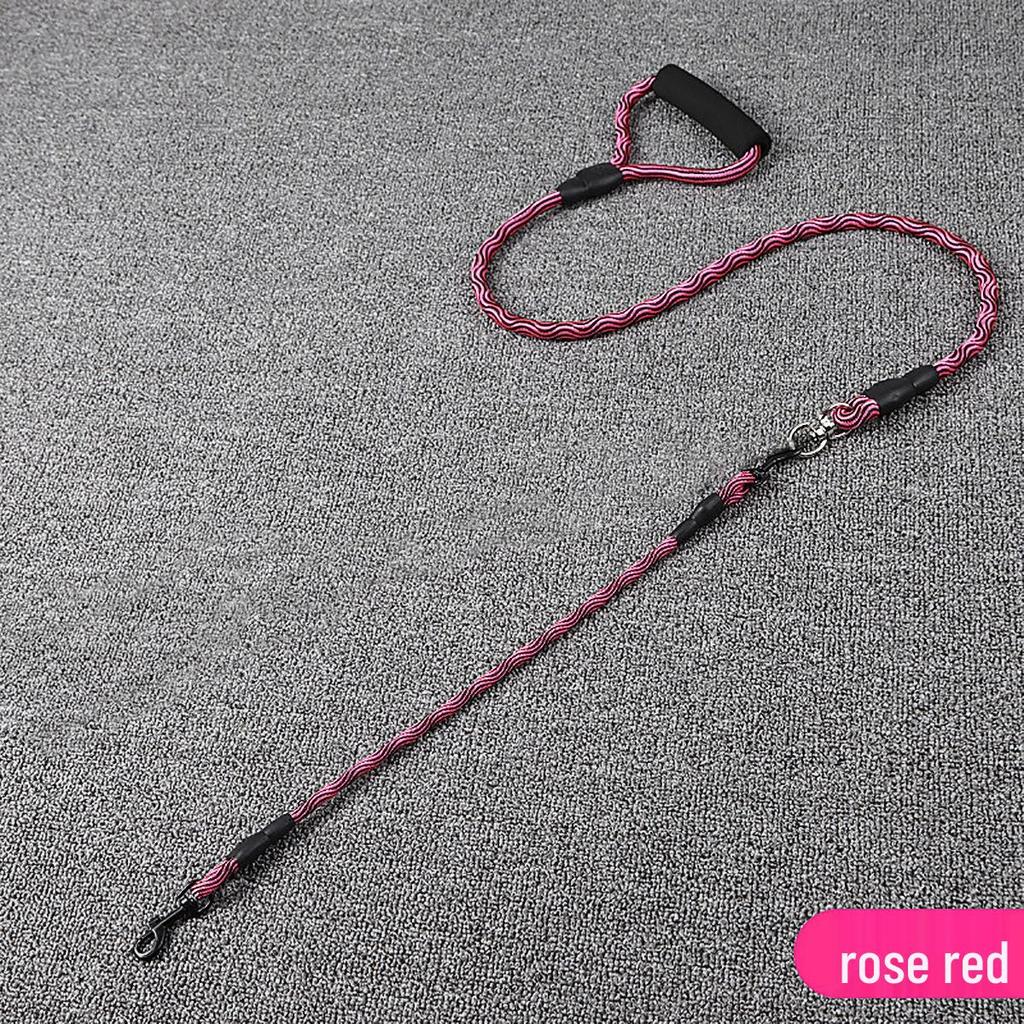 Dual-Head Wave Pattern Dog Leash for Outdoor Walking