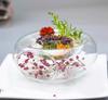 Transparent Glass Bowl with Side Opening Dry Ice Bowl Creative Cuisine Tableware Special Restaurant Salad ceramic bowl set