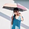 Estaa Sun and Rain Gradient Floral Heat Sun UV Peach (Esta) Women's Parasol, Umbrella, Foldable, Compact, Pattern, Shielding, Protection, Cut, 50cm,