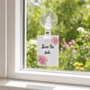 10Pcs Multifunctional Suction Cup Clip 360° Rotatable Sucker Clamp Display Clip  Window Office Door