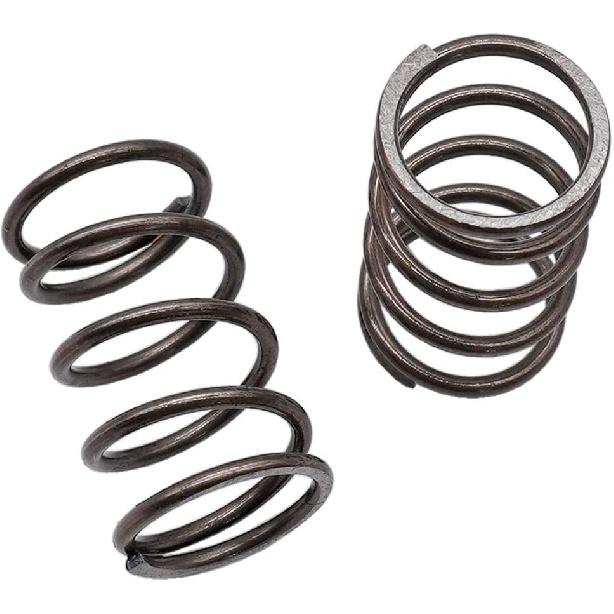 22LBS Valves Springs for Honda GX120/GX200/Clone/Predator 2 PCS