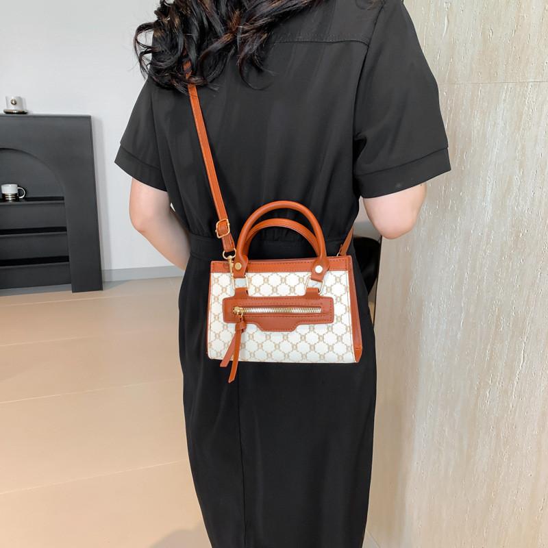 Stylish Minimalist Fashion Handbag For Women 2024 Trendy Vintage Small Shoulder Bag