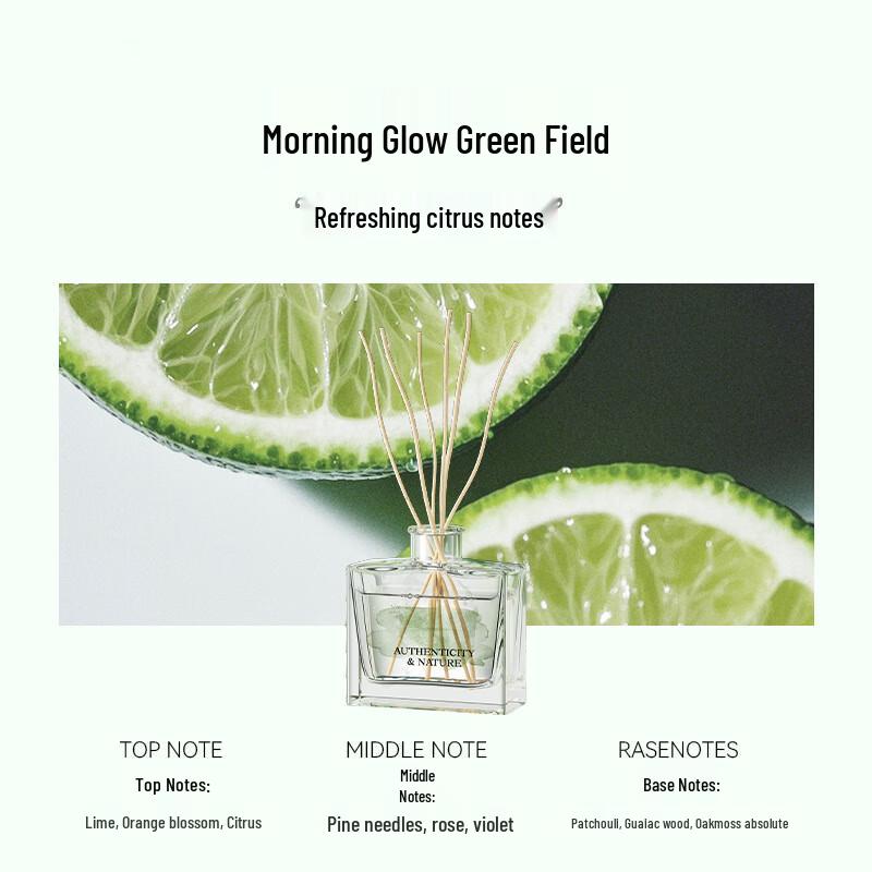 Joyroom Flameless Aroma Diffuser