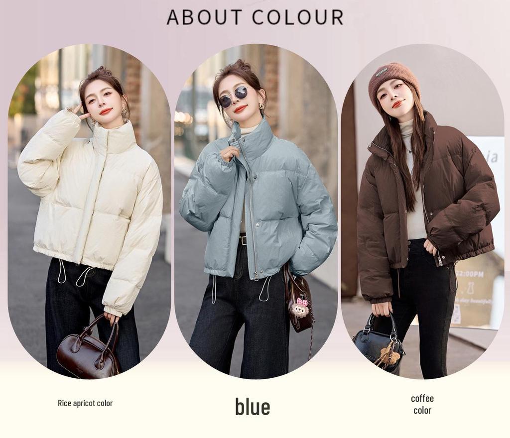 2024 Winter Korean-Inspired Loose Petite Stand-Up Collar Down Jacket for Women