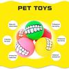Teeth Ball Dog Chew Toy Bite Resistant Squeaky Ball Pet Interactive Toy Small Medium Large Dogs Teething Cleaning Ball Toy