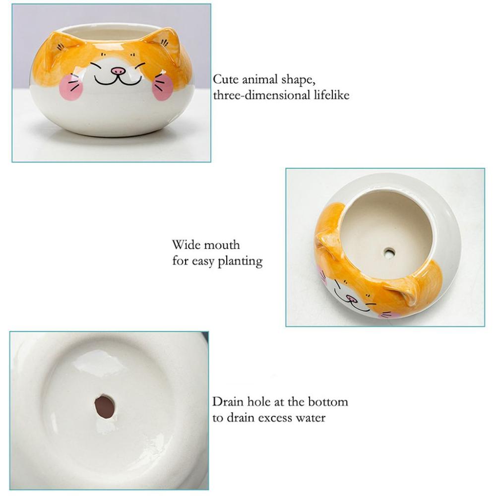 Table Decor Ornament Flower Planter Garden Supplies Bonsai Accessories Flowerpot Succulent Potted