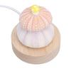 Warm White Light Table Night Light Mushroom Shell Night Lamp Cozy Night Light  Bedside