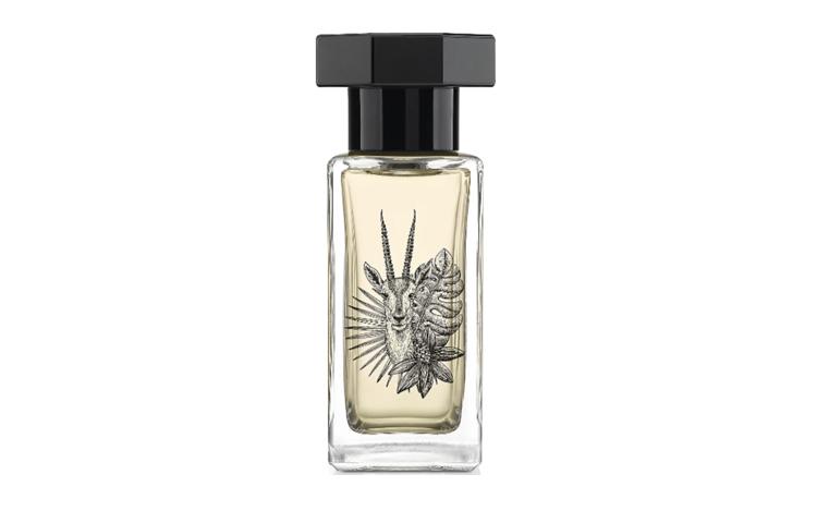 Lecouvent Perfume Floral Fruity Accord Eau De Parfum EDP 100ml