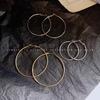 Exaggerated Hoop Earrings - European & American Cold Style, 925 Silver Needle, All-Match Metal Ear Jewelry for Women
