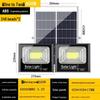 Li Shen Solar LED Floodlight with Remote Control