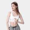 CAMEL Condensed Collection Sports Underwear Women's (Unisex) Sports Underwear J0S1Q9905