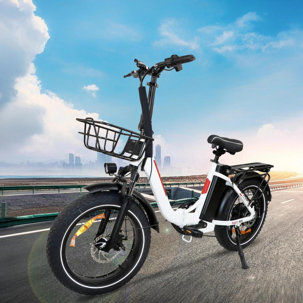 SAMEBIKE DZ2030 800W Bicicleta Elétrica de Entrega, Bateria de Lítio Removível 48V 16Ah, E-Bike com Pneu Gordo 20" x 4.0 para Adultos