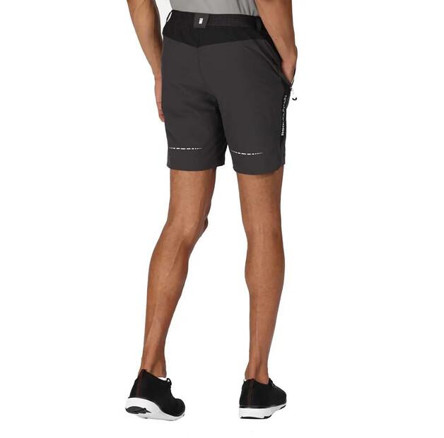 Regatta Шорты Mountain II