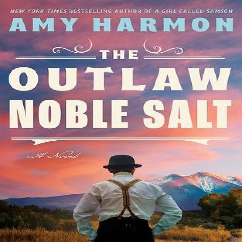 The Outlaw Noble Salt by Amy Harmon Paperback Book 9781662514456