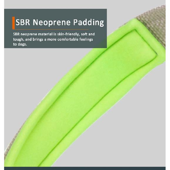 Truelove Double H Harness Neoprene Padding Durable Strong Reflective Gow in the Dark Aluminum Alloy Fitting Light Weight TLH6571
