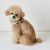 PU Leather Dog Harness and Leash Set Pet Harness for Small Dogs Teddy Bichon Comfortable Dog Harness Vest Leash Pet Supplies