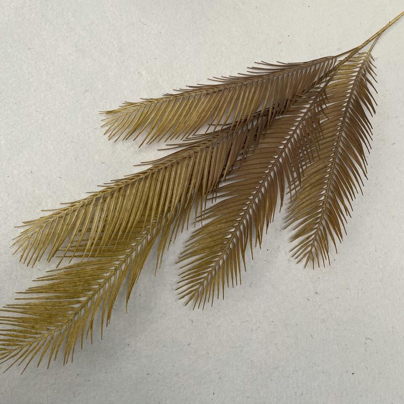 Texture Foliage Fern For Indoor Decoration Wedding Photography Props Gift