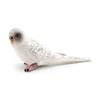Small Parrot Lifelike Birds Figurine Collection Playset Household Decoration Cake Toppers Gift For Kids Educational Toys
