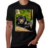 Sun Bear Cub Tshirt Fitness Quick Dry Short Sleeve Top
