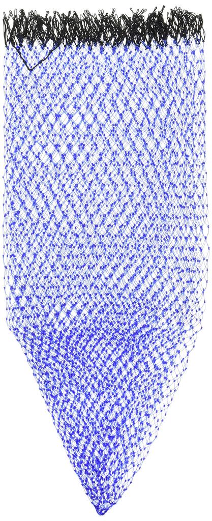 Daiwa Iso Kaeri Net S 50 Blue 744225 (DAIWA)