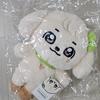 Unopened IVE Mini 30cm Doll (Naori, Jiang'an Paper)