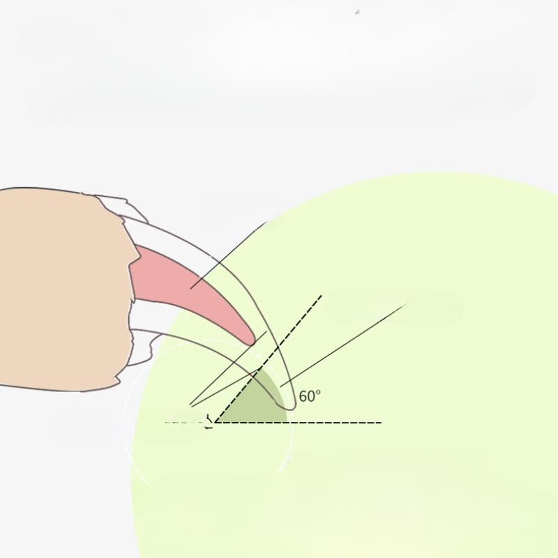 Pet Metal Nail Clippers Large Cats and Dogs Universal Nail Clippers Big Dog Grooming Supplies Nail Clippers