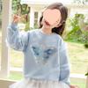 Girls Long Sleeve Sweatshirt with Glitter Butterfly and Mesh Detail for Spring Autumn