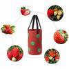 Hanging Flowerpot Bag Tomatoes Vegetables Strawberries Strawberries Pockets 35Cm