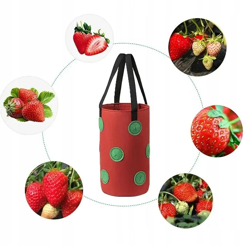 Hanging Pot Bag Chicken Tomatoes Strawberries Strawberries Pockets 35
