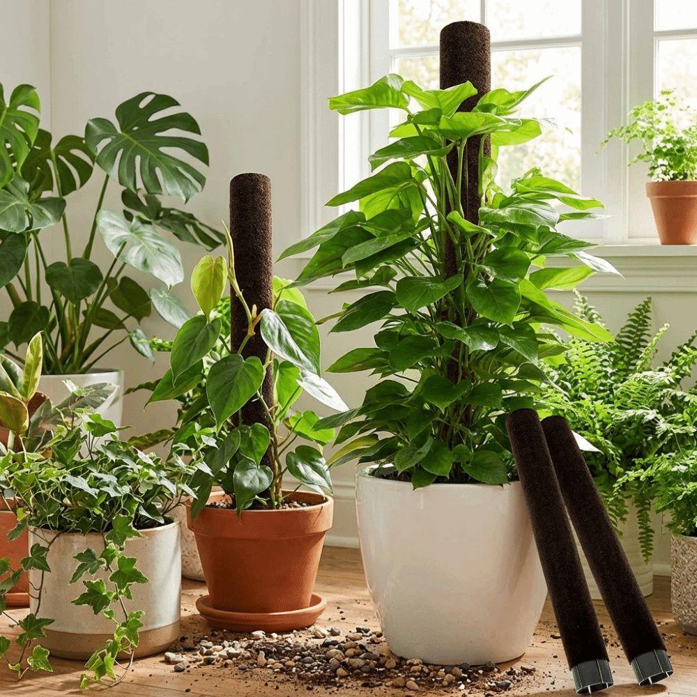 Ventilate Climbing Plant Stand Plastic Potted Plant Holder Climbing Vine Pillar Indoor Plant Use