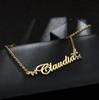 Atoztide Personalized Custom Name Necklace Zircon Heart Crown for Women Stainless Steel Pendant Box Chain Birthday Jewelry Gift