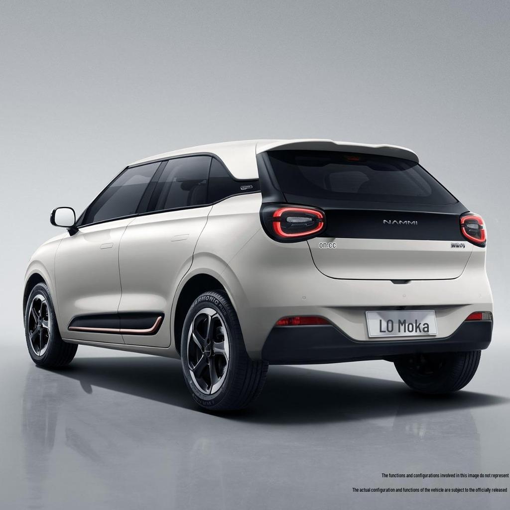 Dongfeng Nano 01 Mudguard (2024 Model) - No-Drill Installation