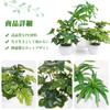 XiaZ Artificial Plants Set Qualified Invoice Mini Potted Tabletop No No Care Perfect for and other and Monstera (Fake Greenery) 3-Piece - Available.