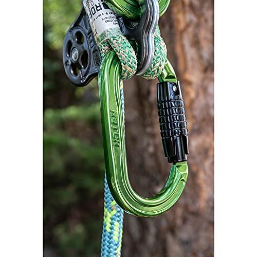 Notch Absolute Oval Aluminum Carabiner (54441)