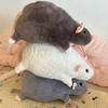 20/30/50cm Simulation Mouse  Doll Stuffed Animal Mouse Plushie Doll Fancy Rat Doll  Kids Toy