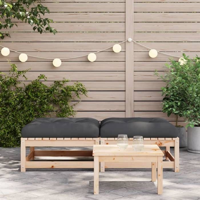VidaXL Repose-pieds de Jardin avec Coussins 2 pcs, Tables Basses, Tabourets de Patio Balcon Terrasse Arrière-cour Extérieur, 838101