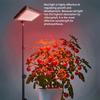 Grow Lights for Indoor Plants, Full Spectrum LED Plant Growing Lamp - Timer, Adjustable Brightness & Tripod Stand, LED Grow Lamp