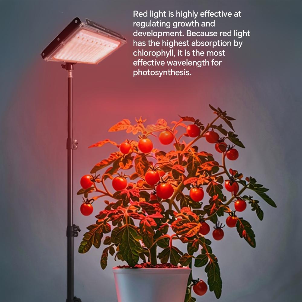 Grow Lights for Indoor Plants, Full Spectrum LED Plant Growing Lamp - Timer, Adjustable Brightness & Tripod Stand, LED Grow Lamp